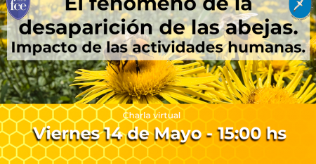 banner-abejas