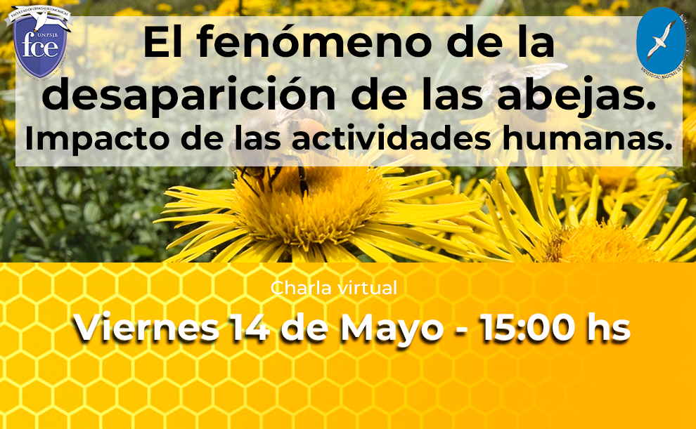 banner-abejas